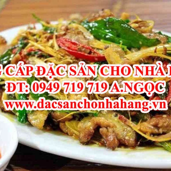 Địa Chỉ Bán Nhím Thịt Giao Hàng Tận Nơi