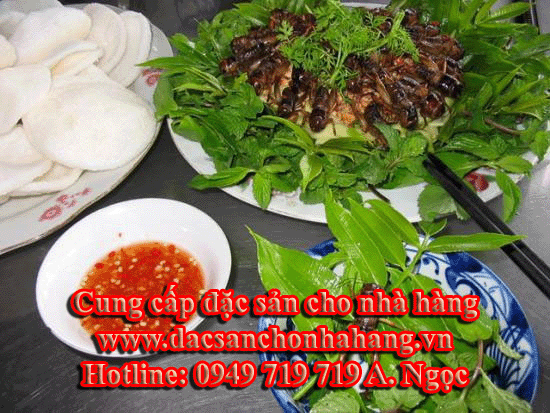 Dế Cơm Thịt Thương Phẩm
