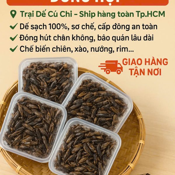 Dế Thịt